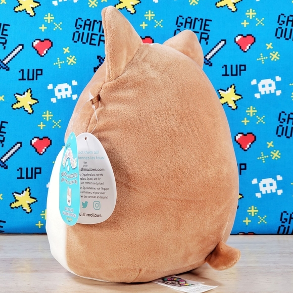 Squishmallow Regina The Corgi With Sushi 8" UltraSoft Stuffed Plush Toy NWT - Picture 5 of 12
